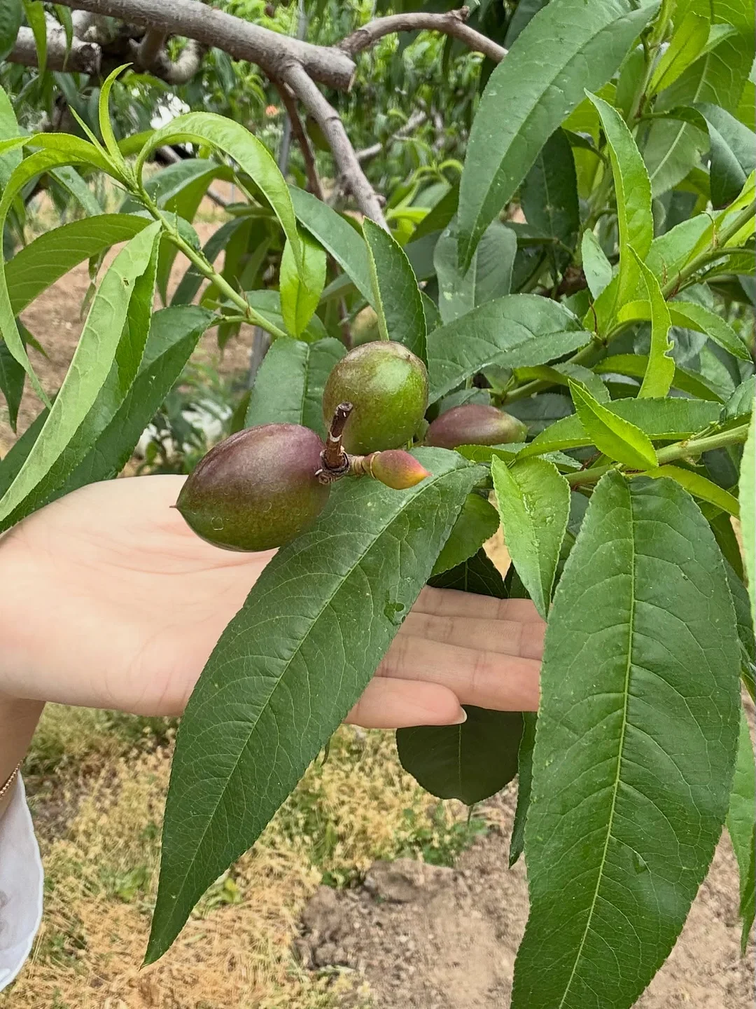 운동화 뒤꿈치 보수 스티커 5