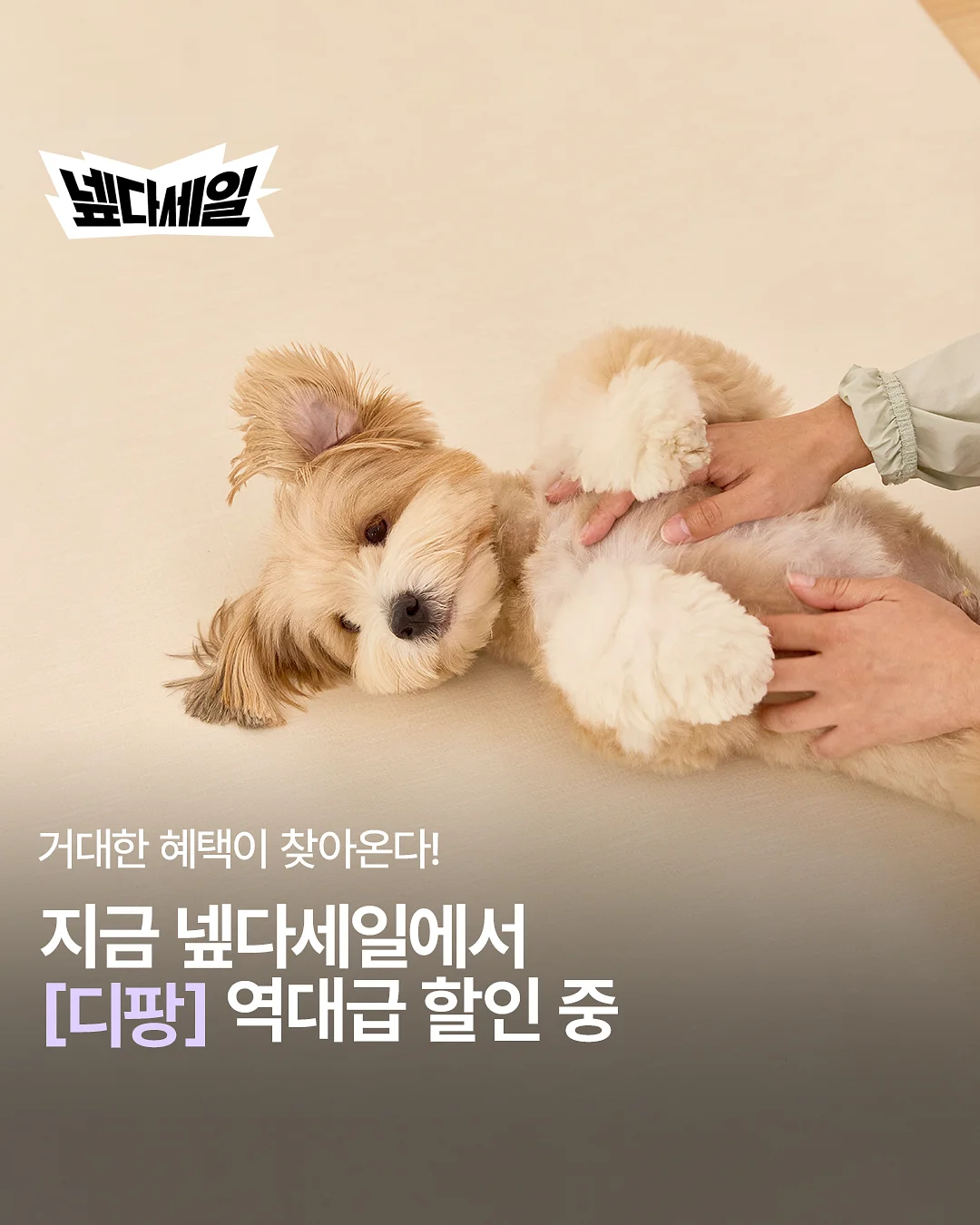 텐셀 후드 윈드 점퍼
