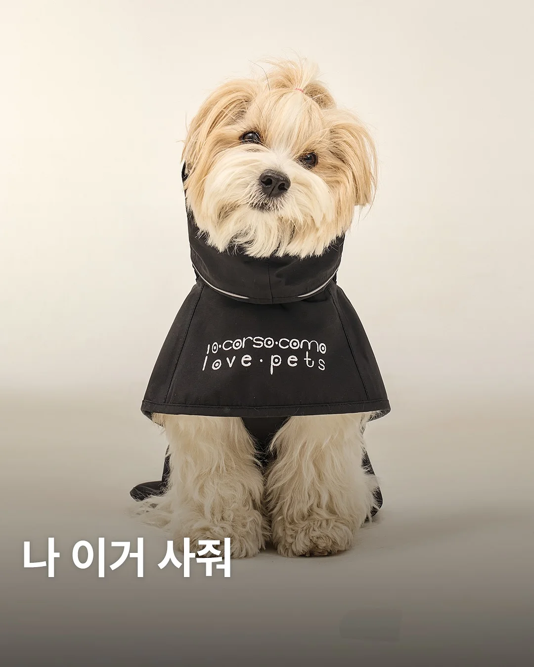 '북다방' 멤버십 1