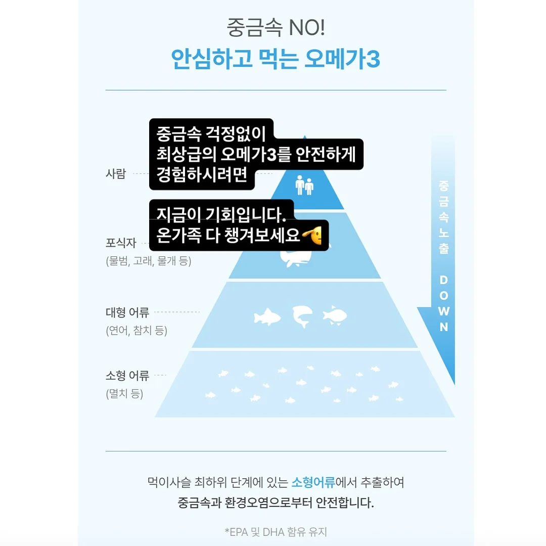 커리쉴 3종세트 9