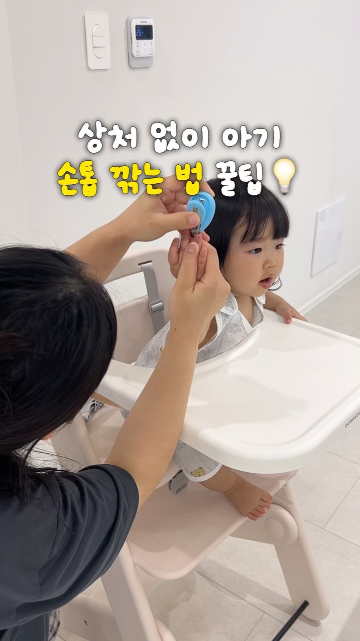 오란다 7구세트