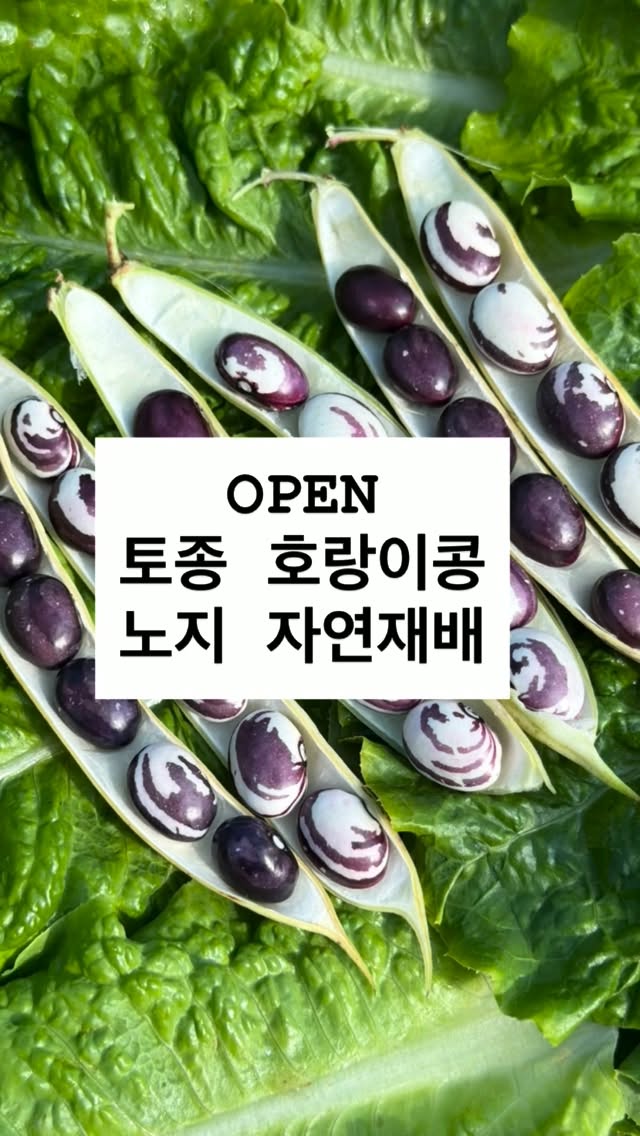 남성 빈티지펌