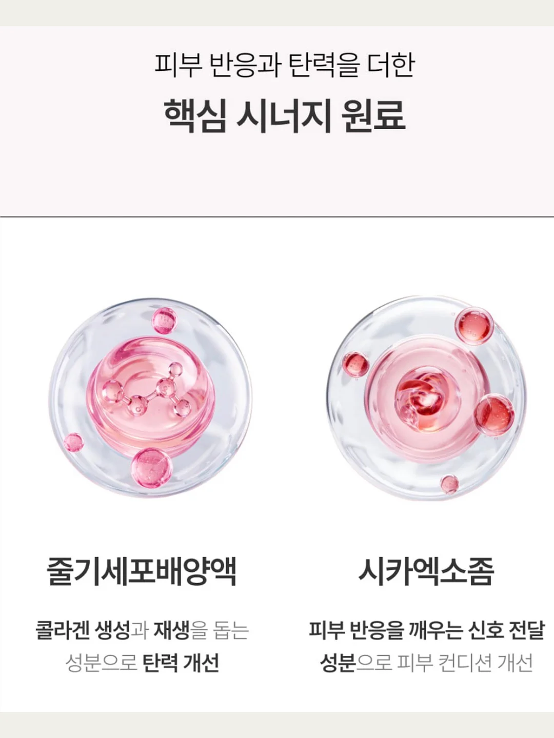 싱크대 일체형 식세기 7