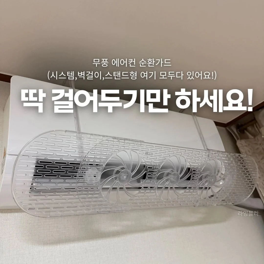 골드망고 1