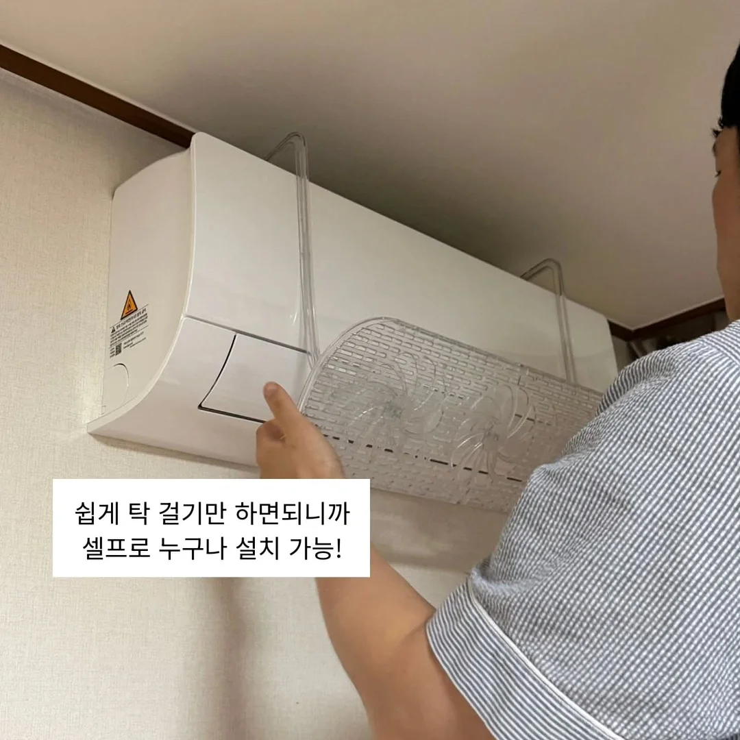 골드망고 3