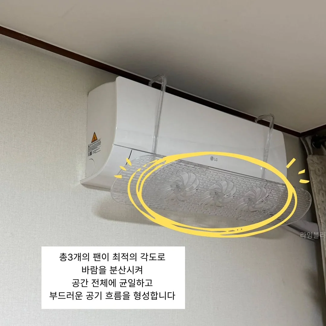 골드망고 5