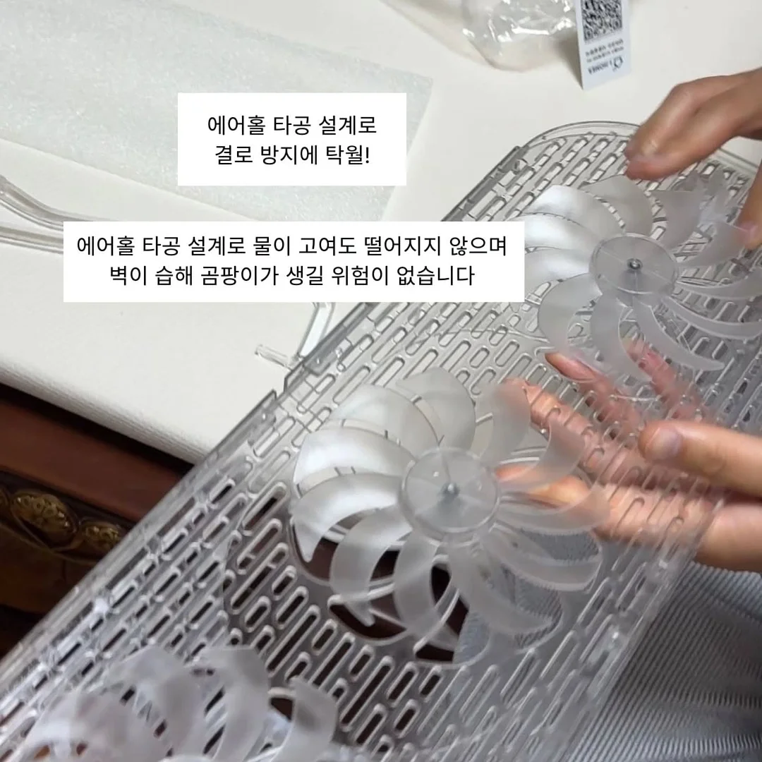 골드망고 6