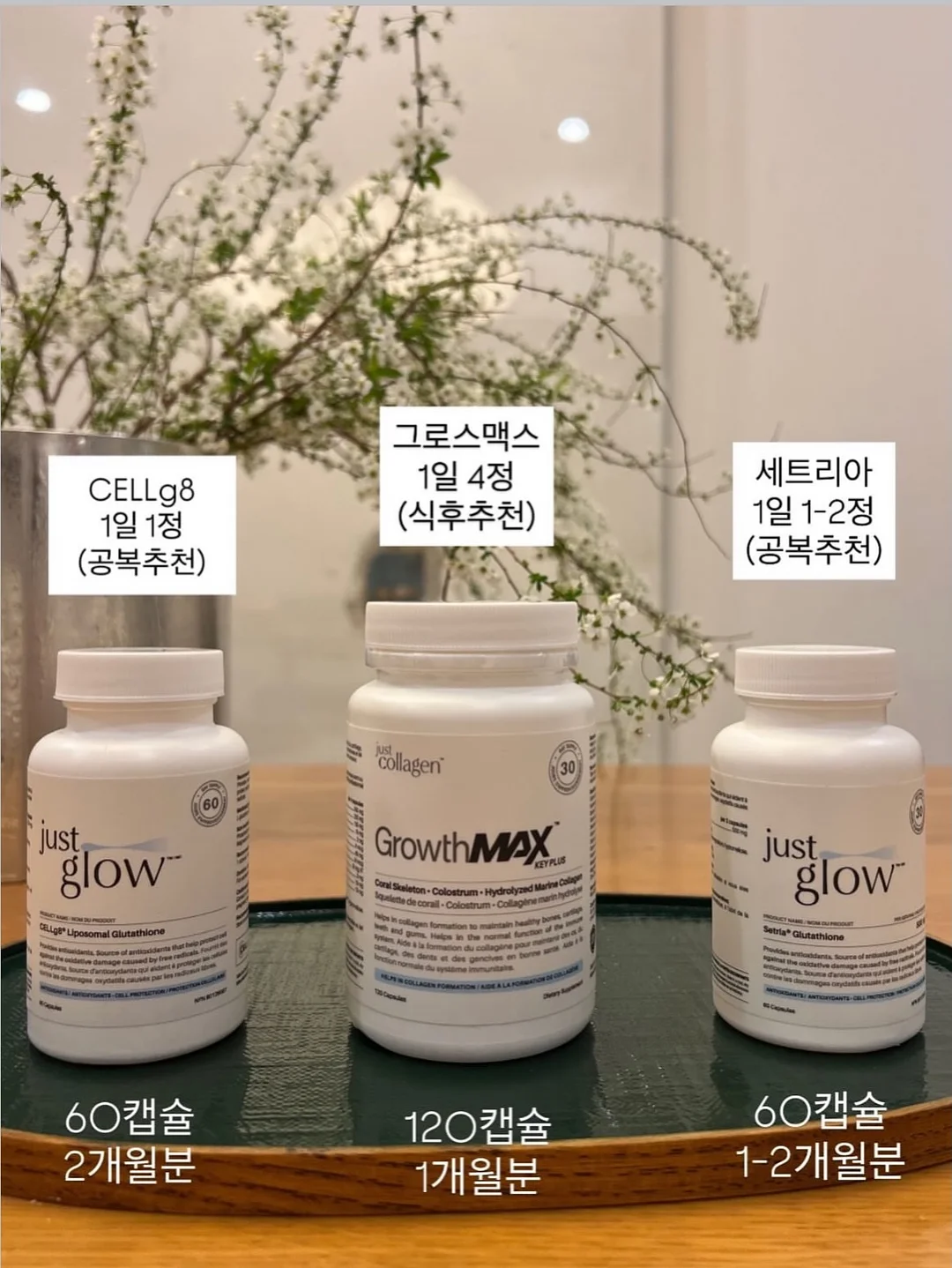 생각하라 그리고 부자가 되어라 5