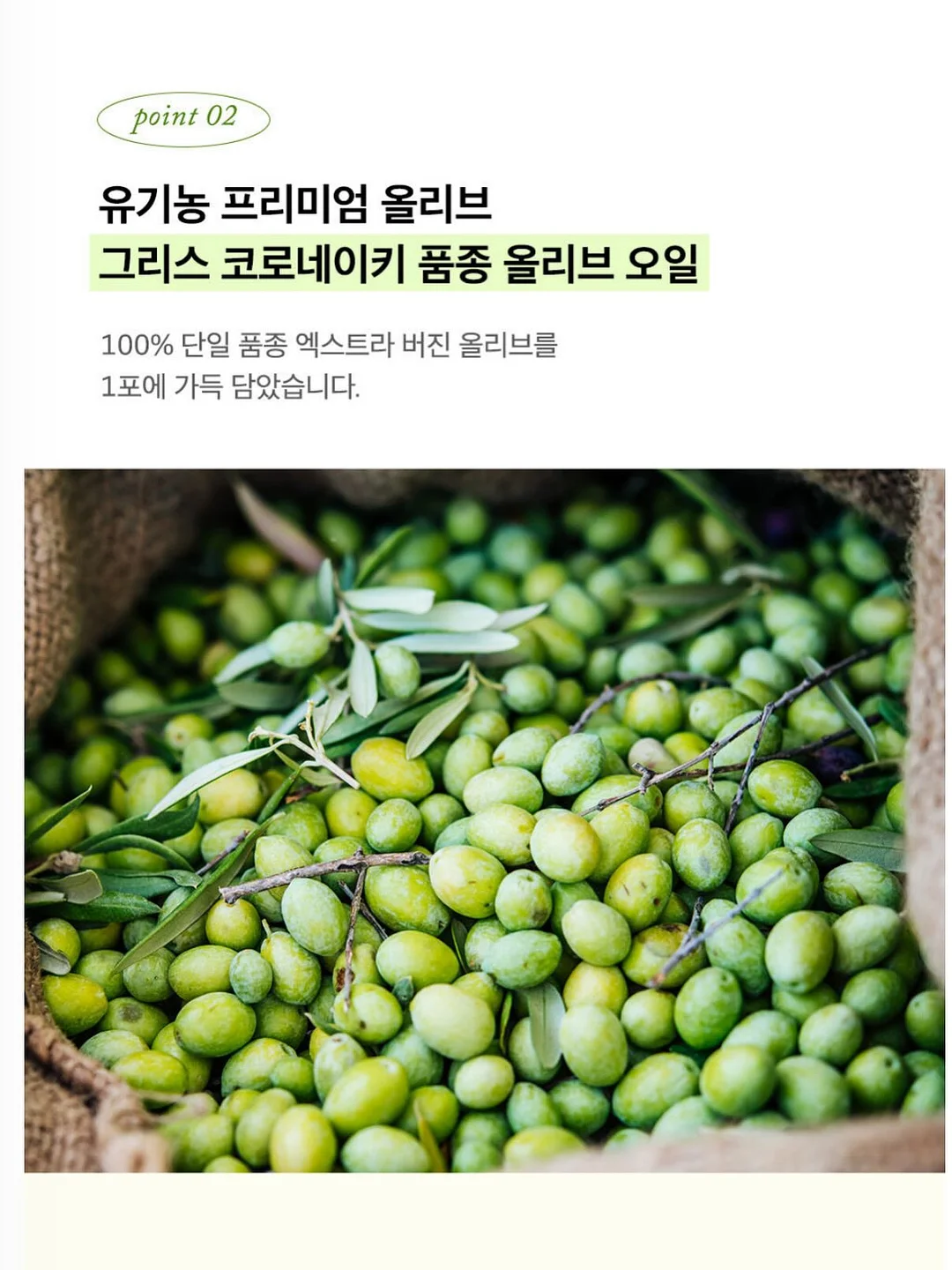 볼륨 시술 13