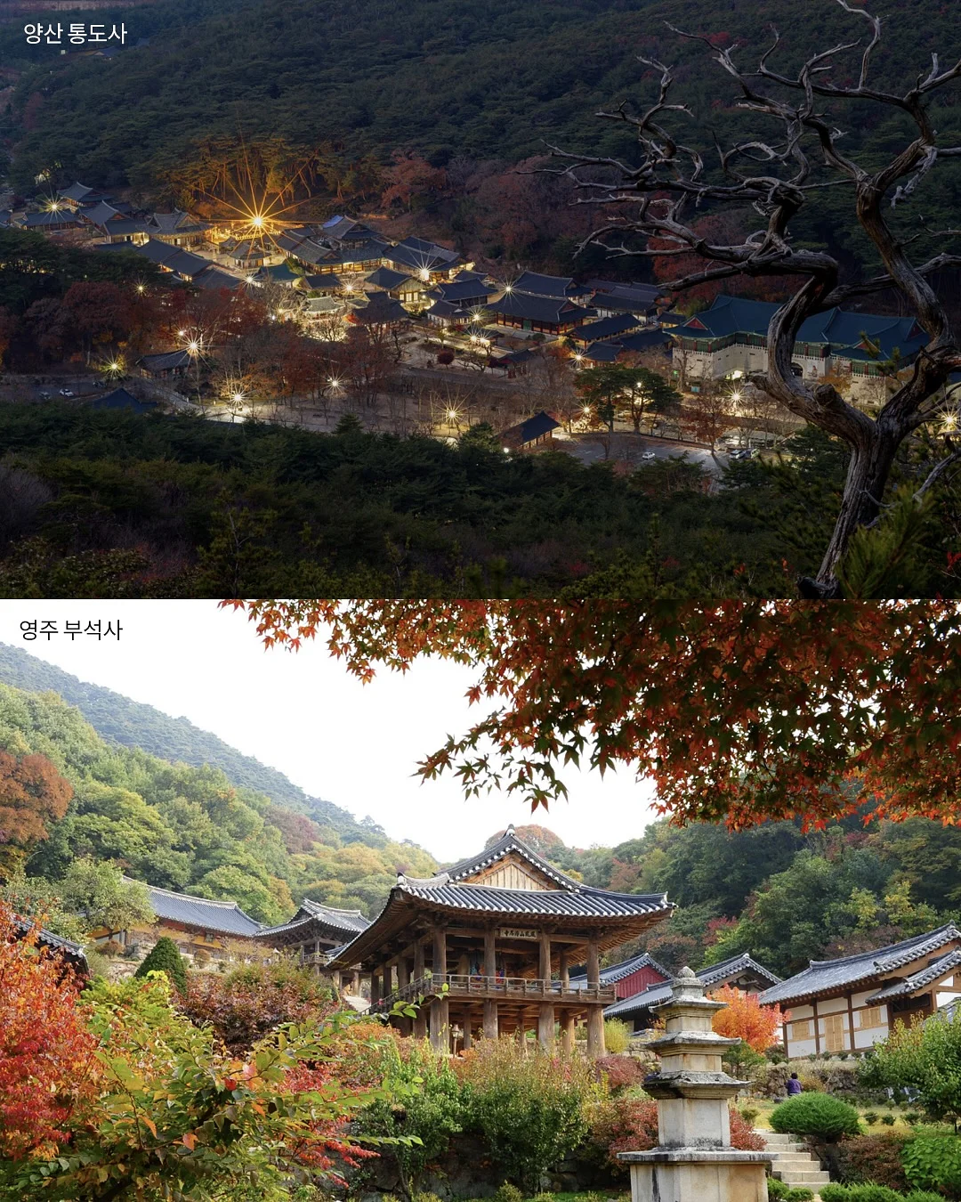 MER동 스탠다드룸 5