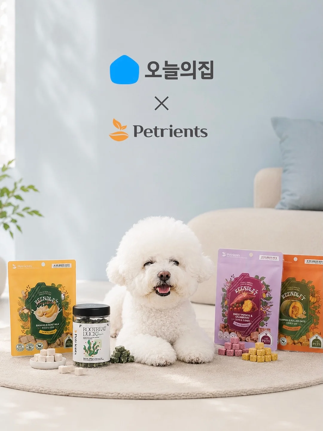비단 가리비