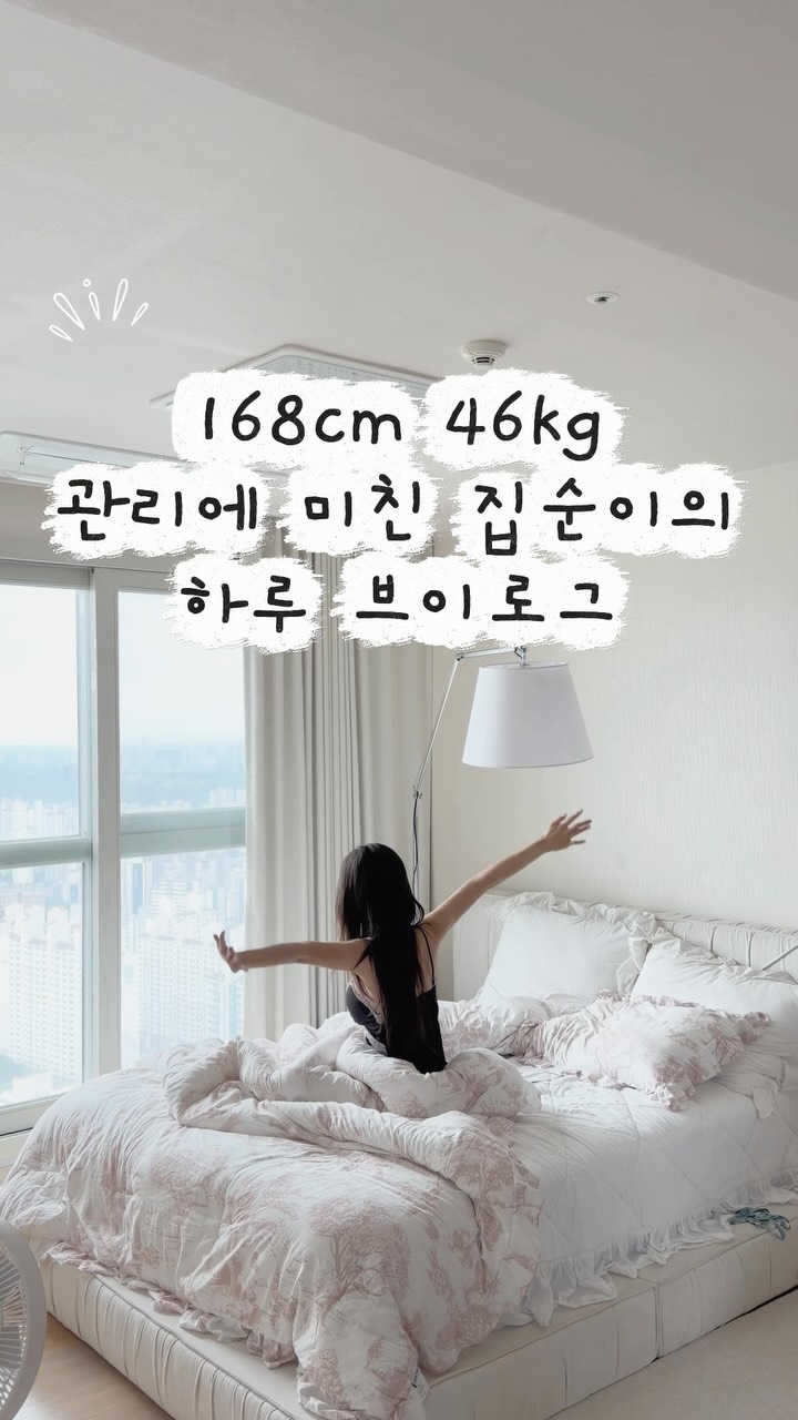 쿠키 과일 도시락