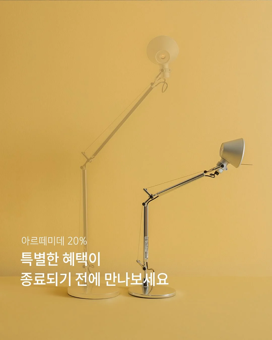 너로 스냅 촬영 1