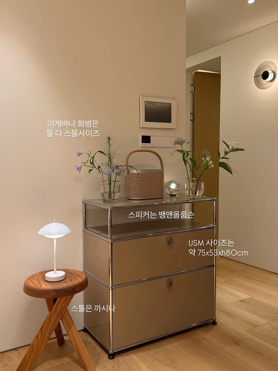 신선 신비복숭아 11