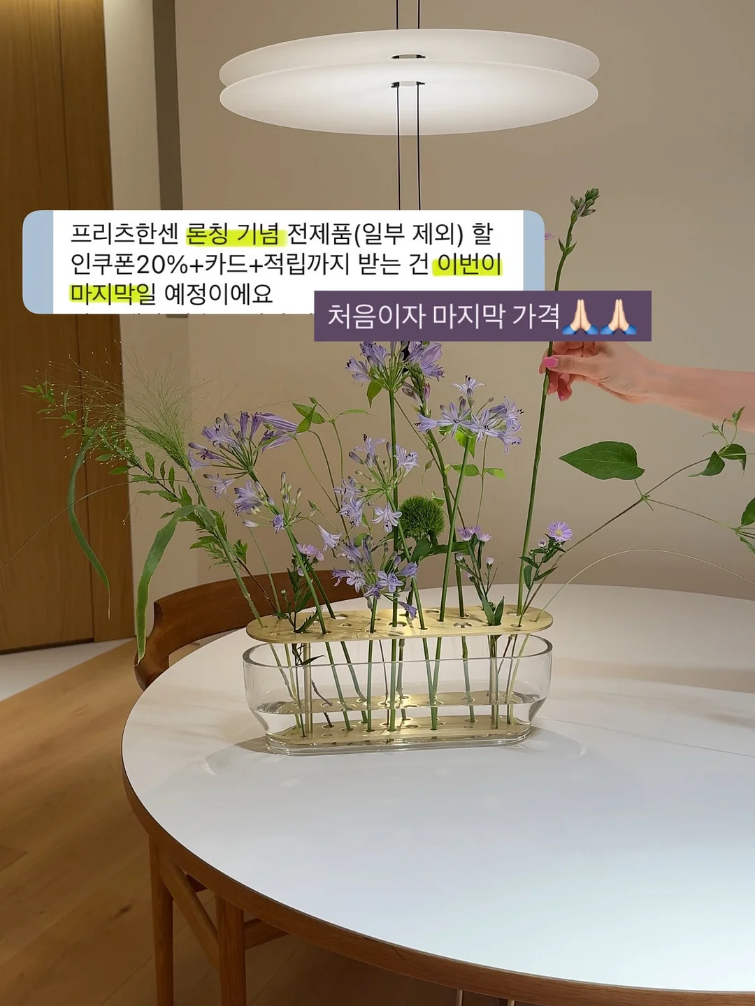 신선 신비복숭아 3
