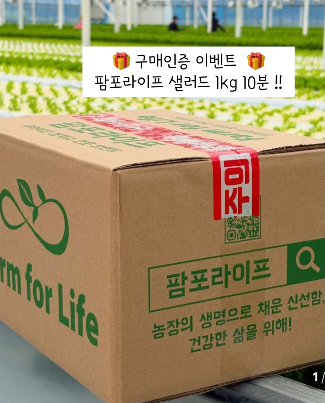 스몰바스켓 포토카드 14