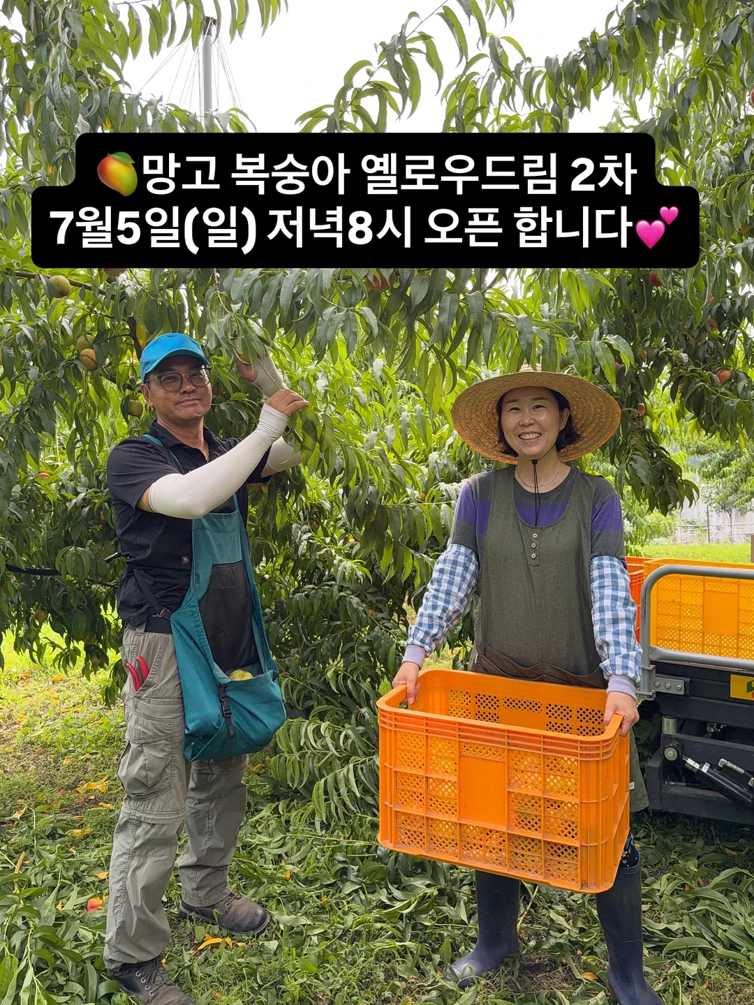 여름 착장 1