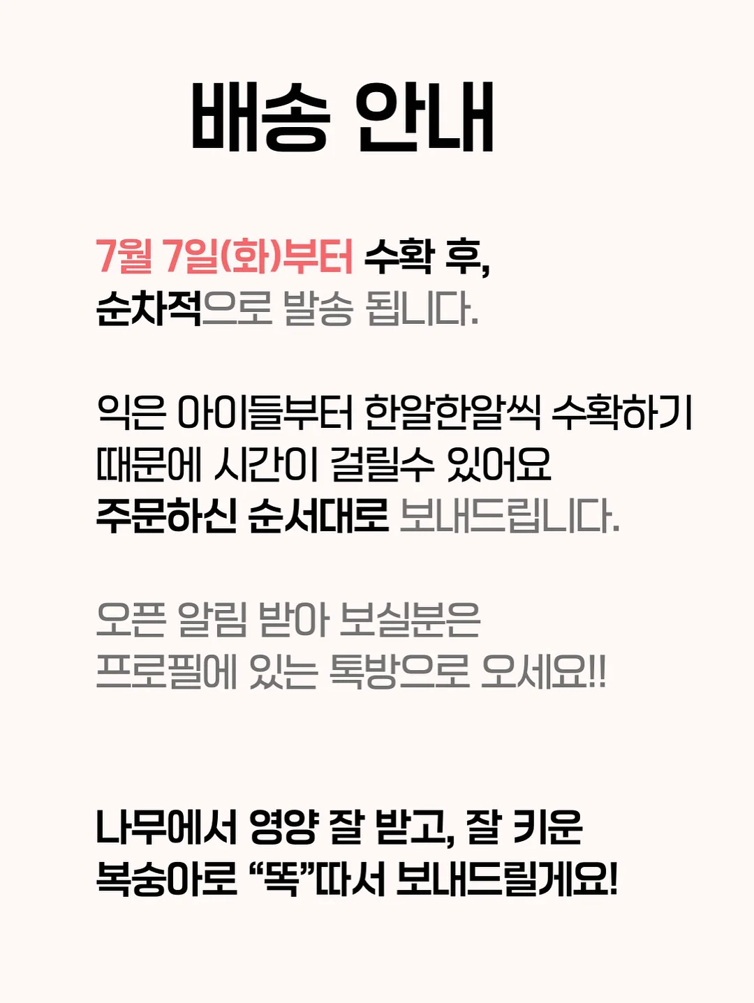 여름 착장 3