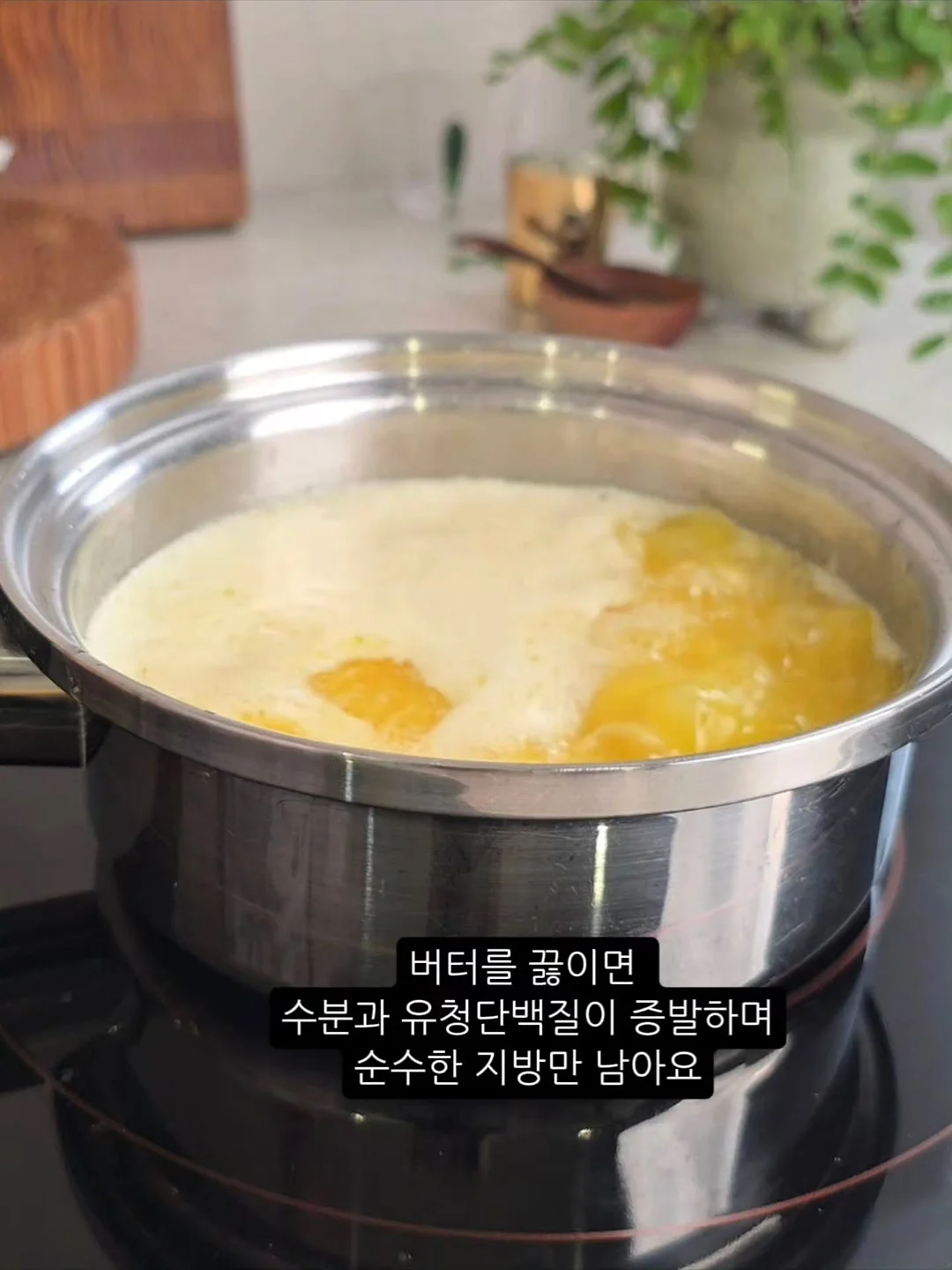 순천 개, 덕선이 일러스트 산문집 2