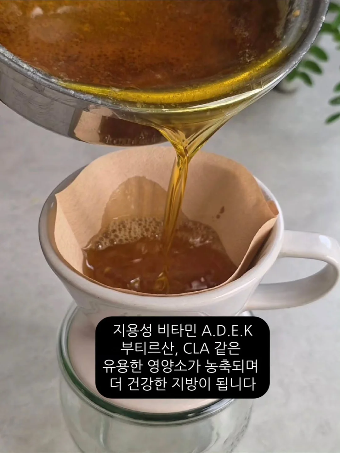 순천 개, 덕선이 일러스트 산문집 3