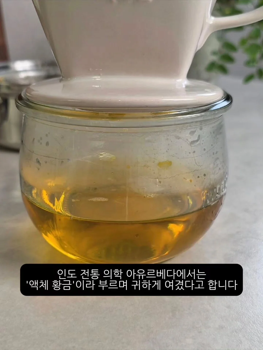 순천 개, 덕선이 일러스트 산문집 4