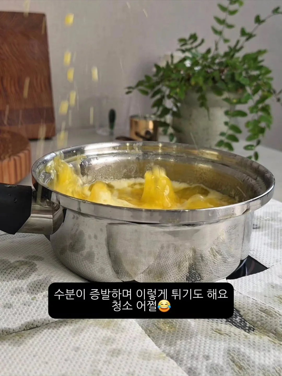 순천 개, 덕선이 일러스트 산문집 5
