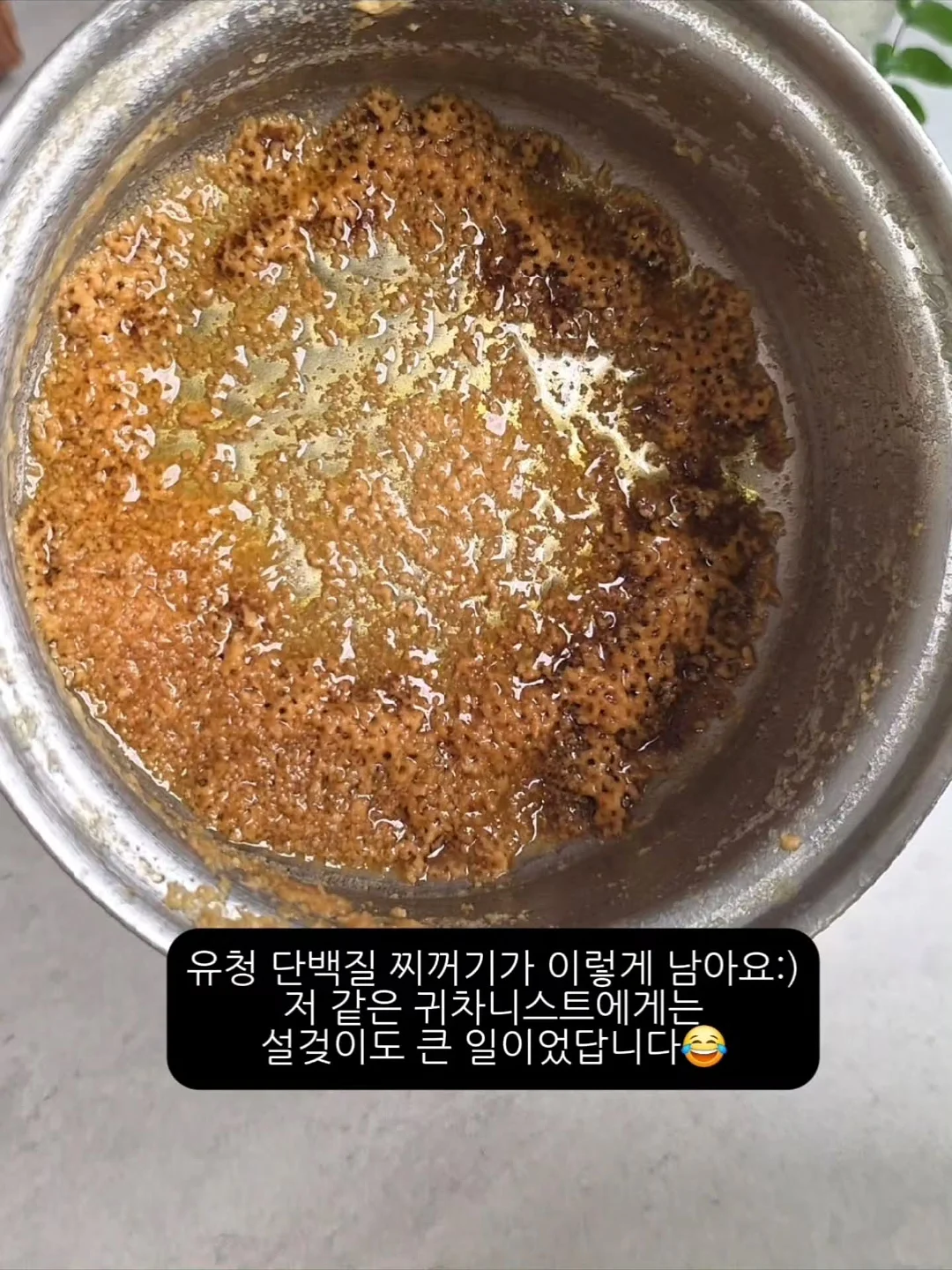 순천 개, 덕선이 일러스트 산문집 7