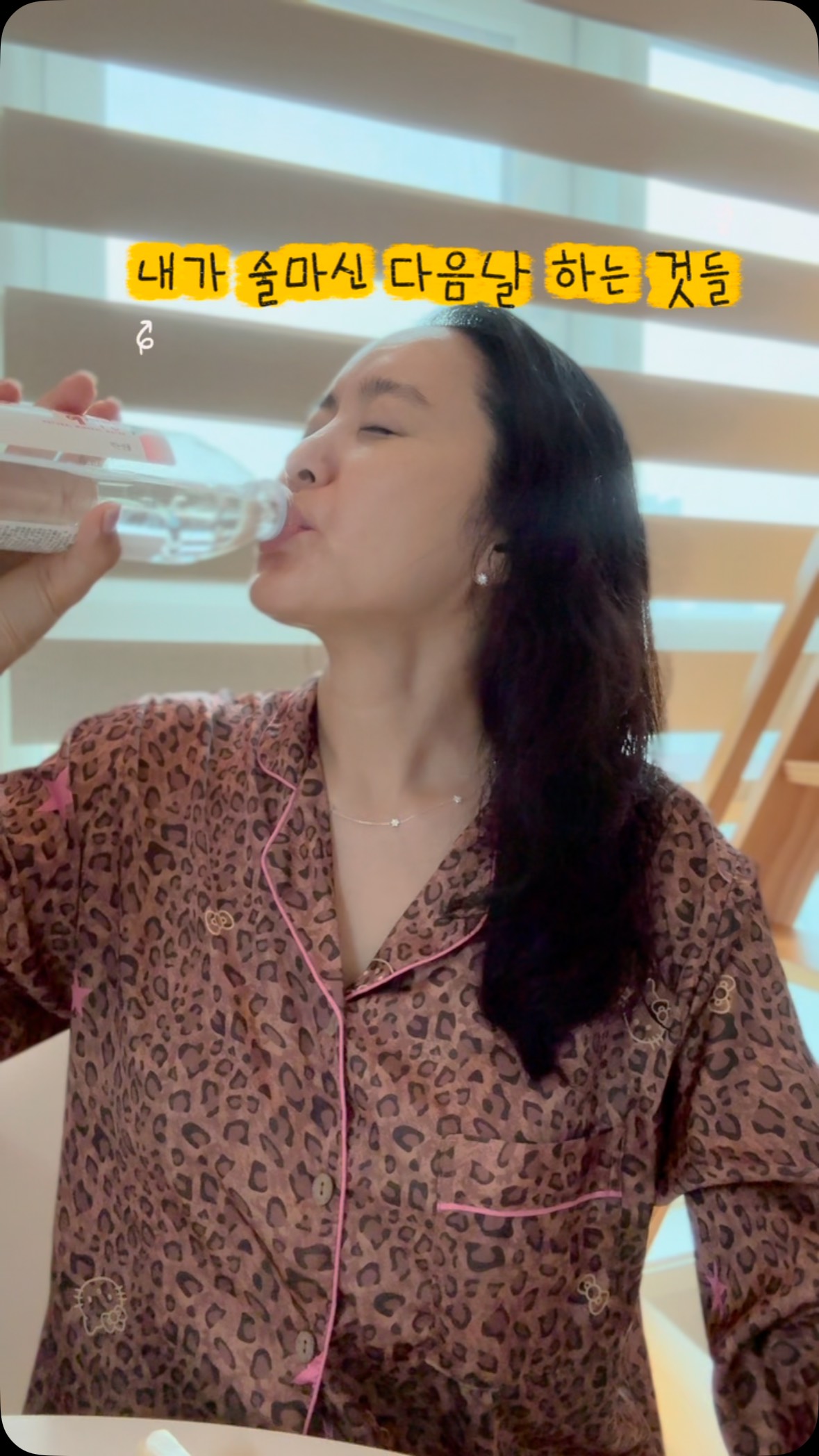 베몽테스 하이오닉 에어로 필름
