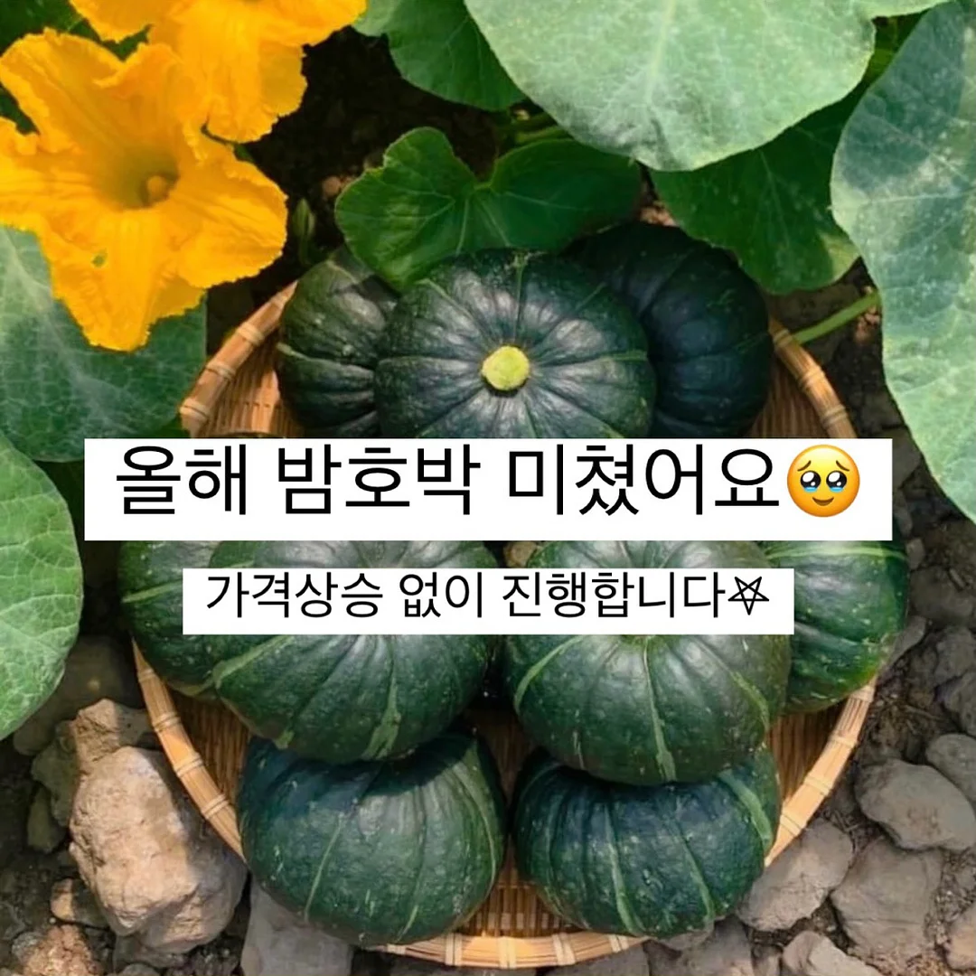 MAC 무화과 립스틱 1