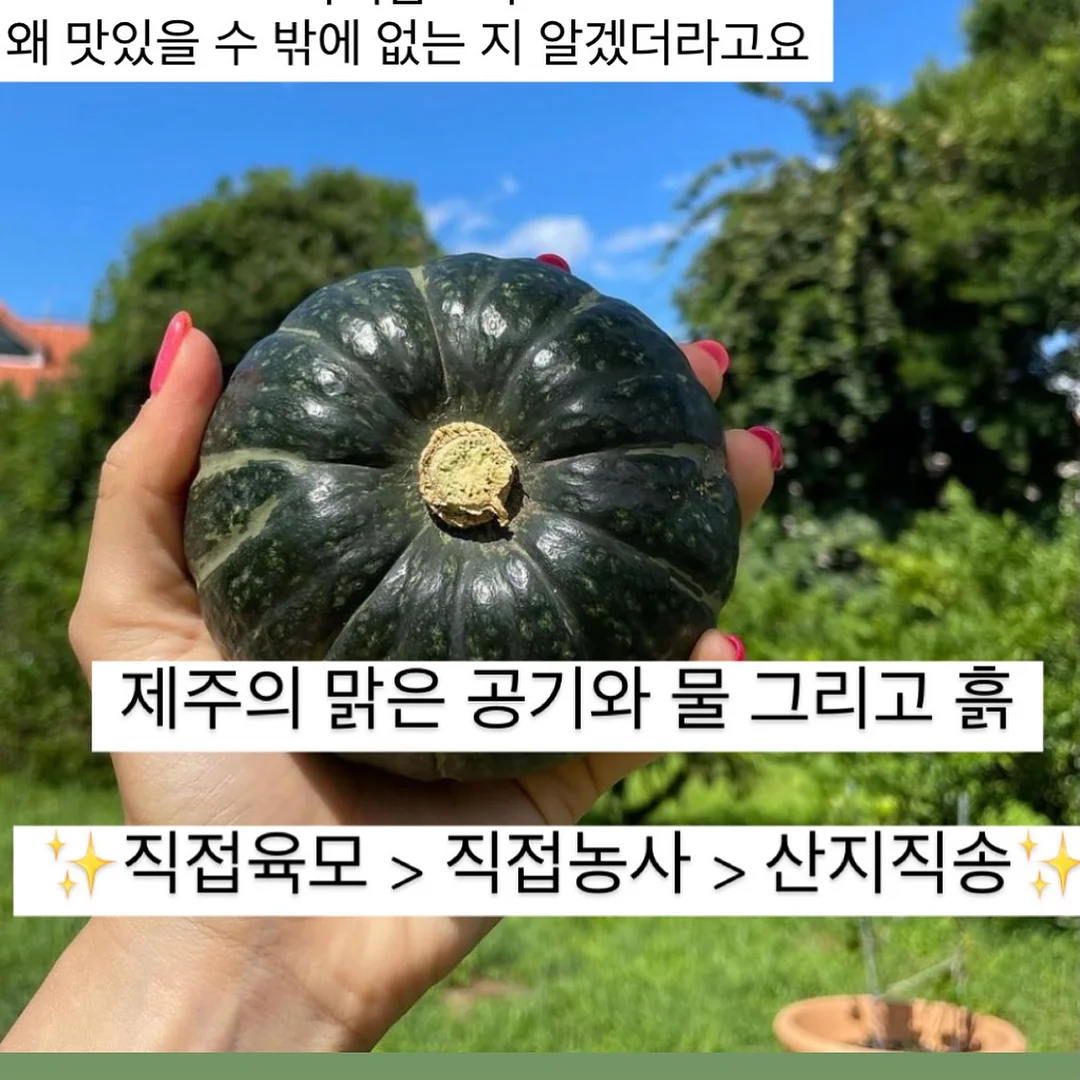 MAC 무화과 립스틱 4