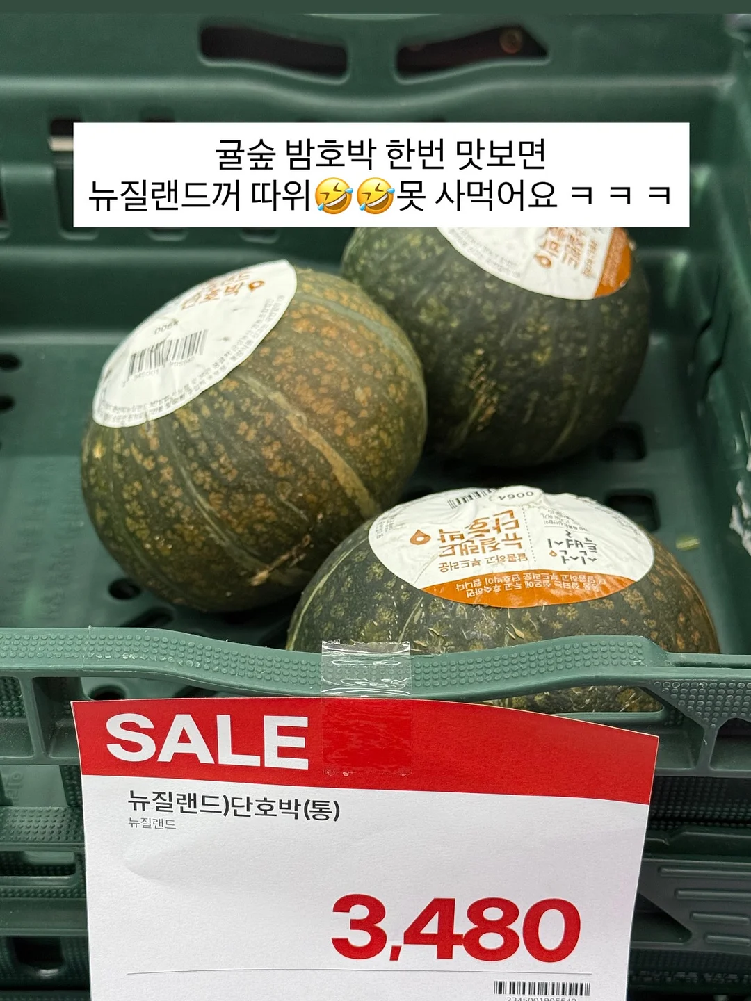 초음파 세척기 11