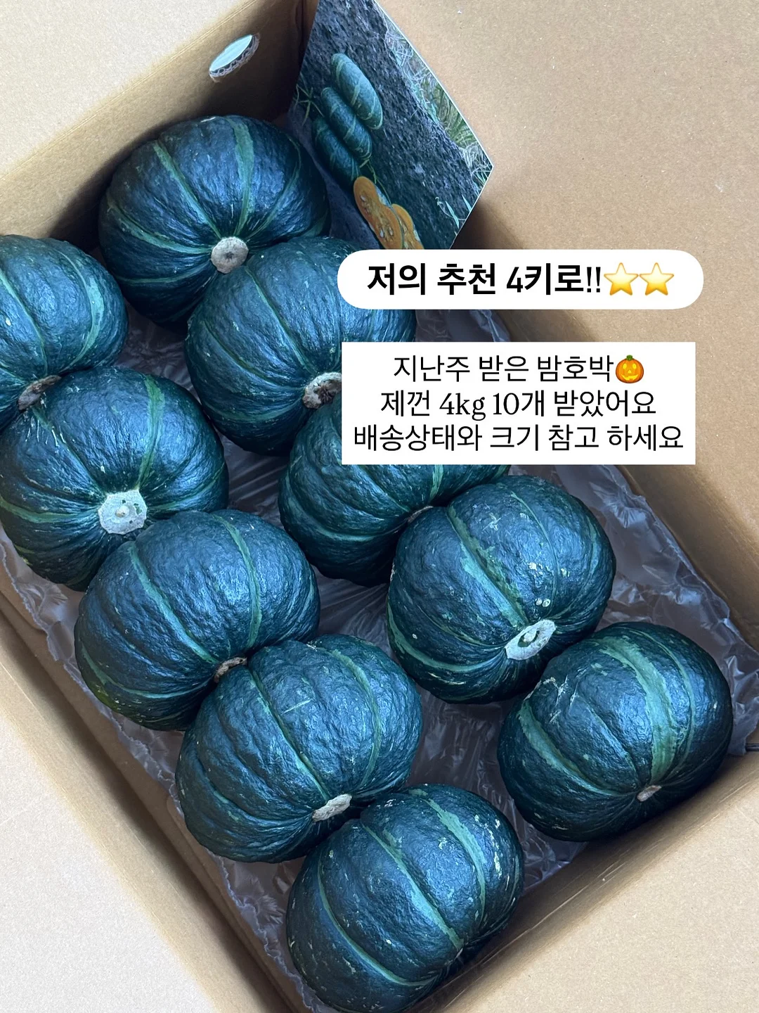 초음파 세척기 4
