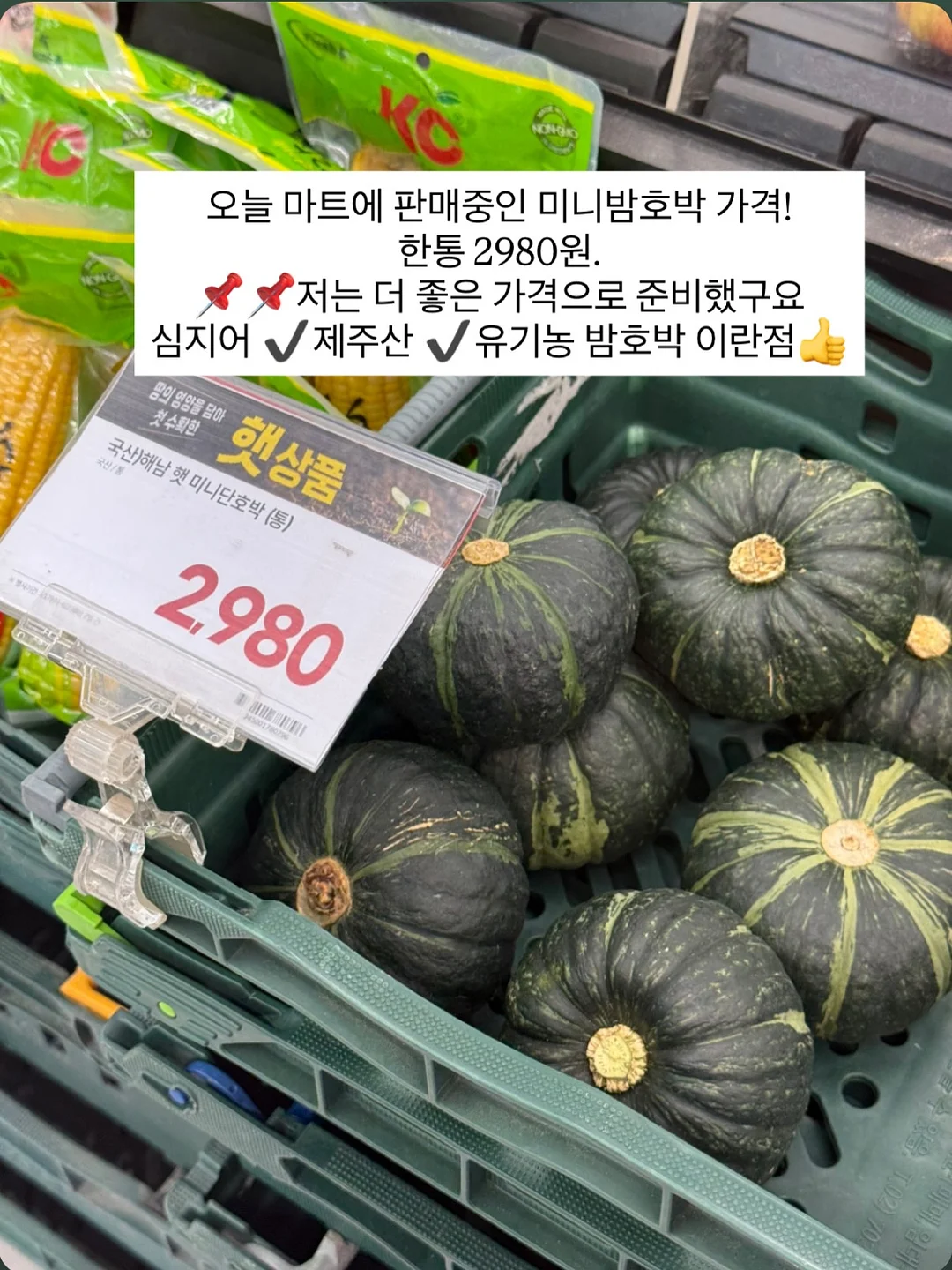 초음파 세척기 10