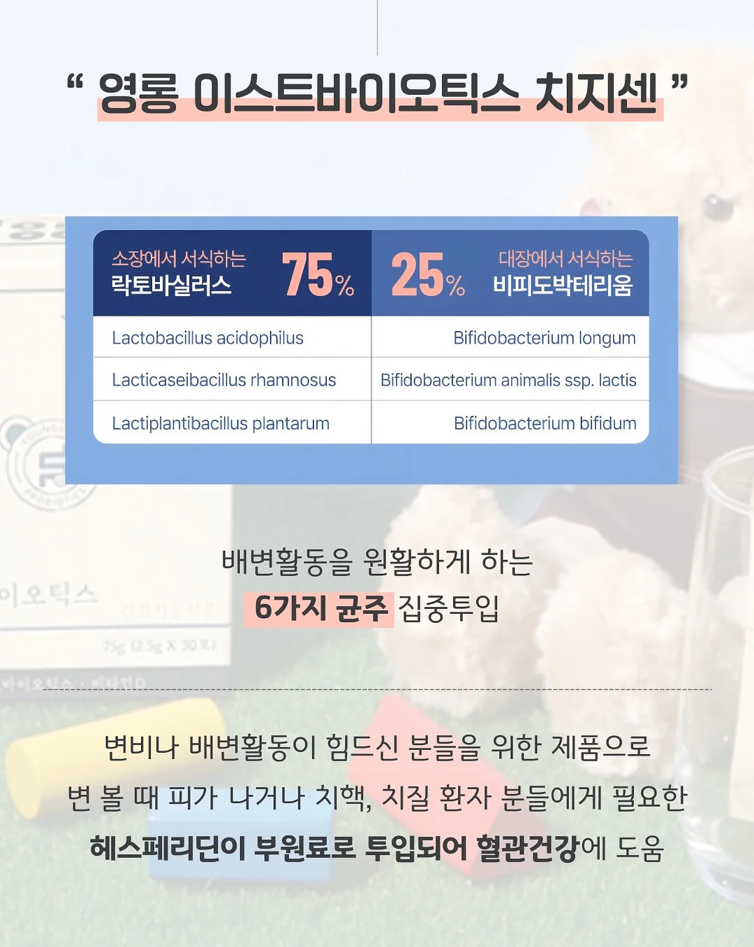 푸로직스 키즈 아치업 샌들 6