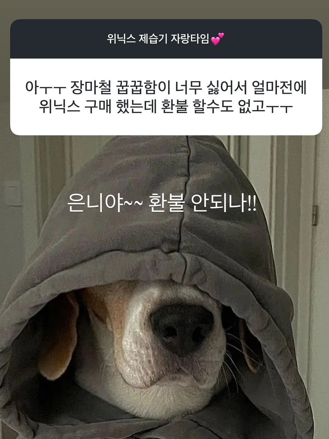라쏭 17