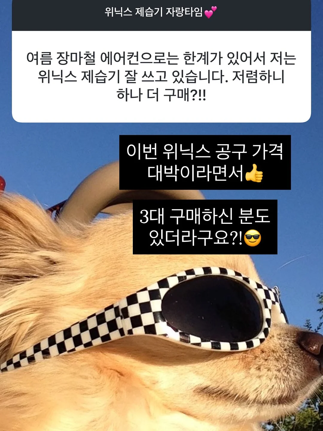 라쏭 18