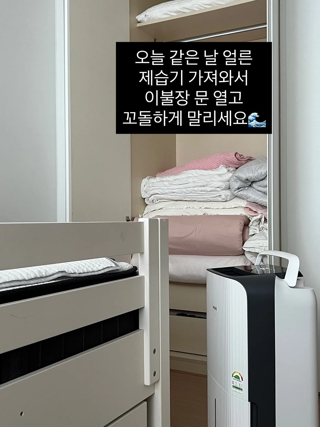 라쏭 7