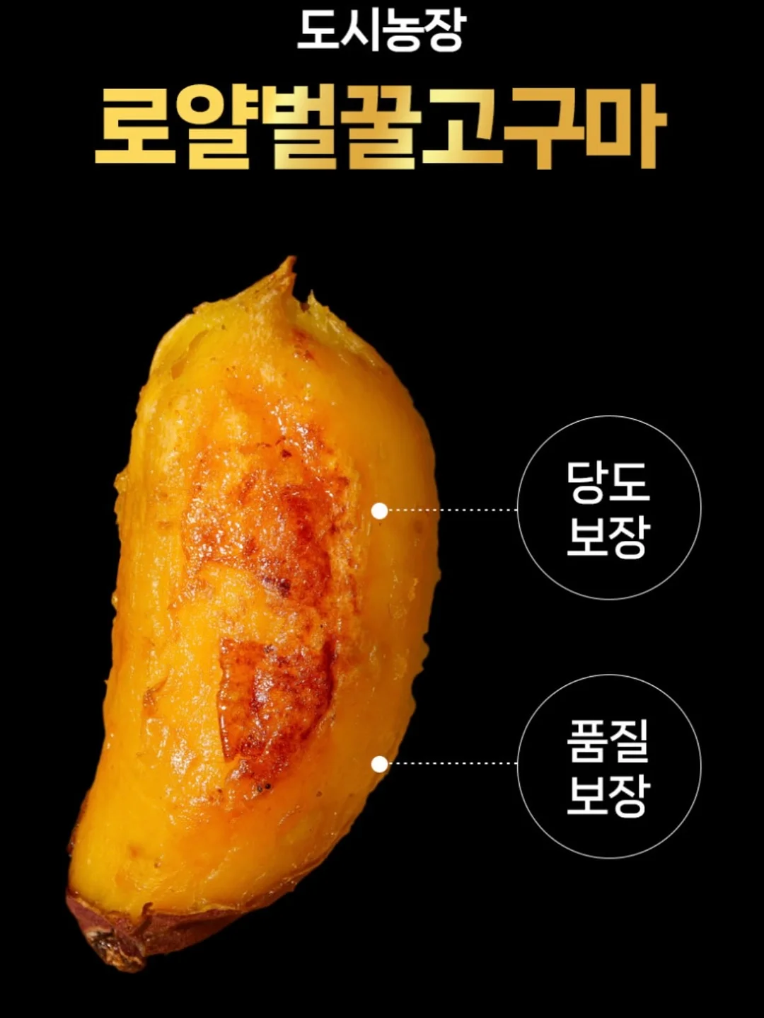 라미에스 가구 라인업 11