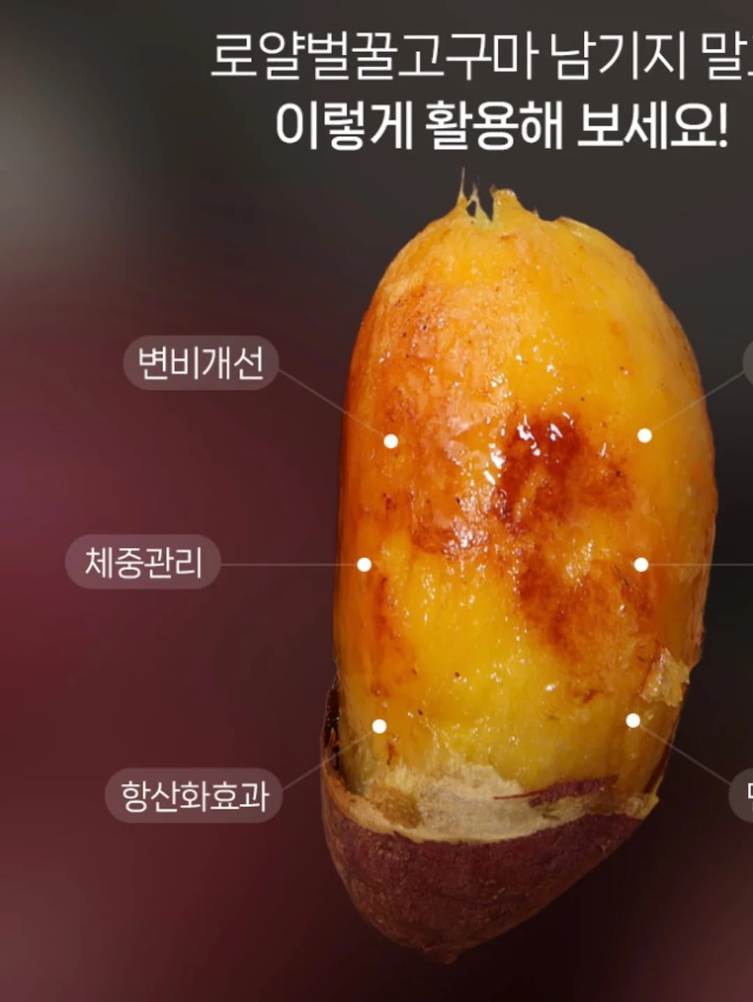 라미에스 가구 라인업 13