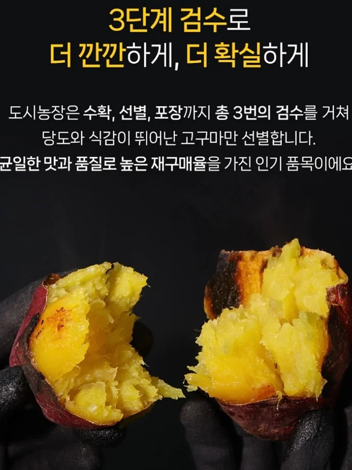 라미에스 가구 라인업 7