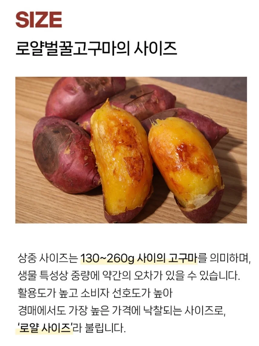 라미에스 가구 라인업 9
