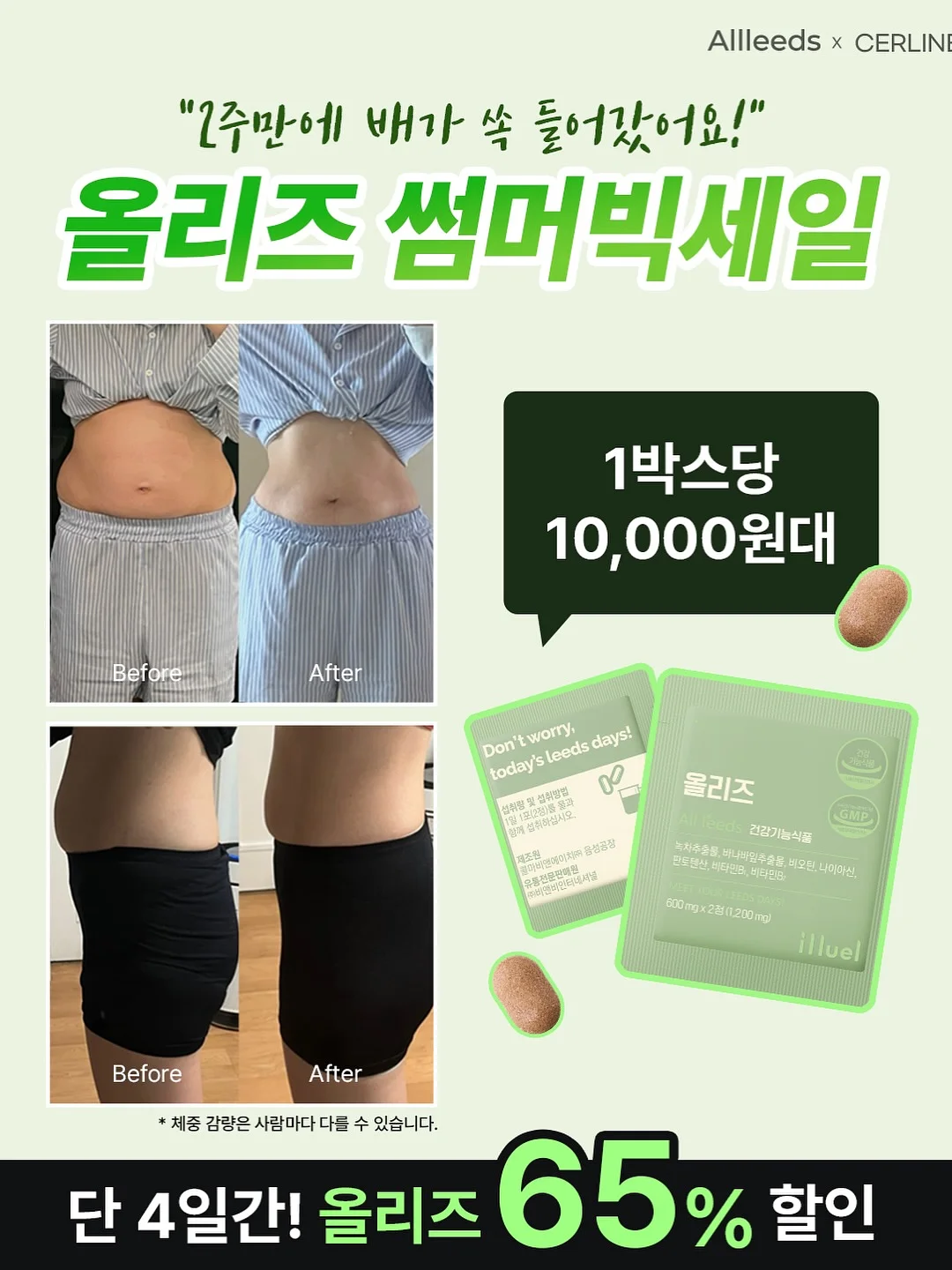 잔털루드베키아 리틀 헨리 3