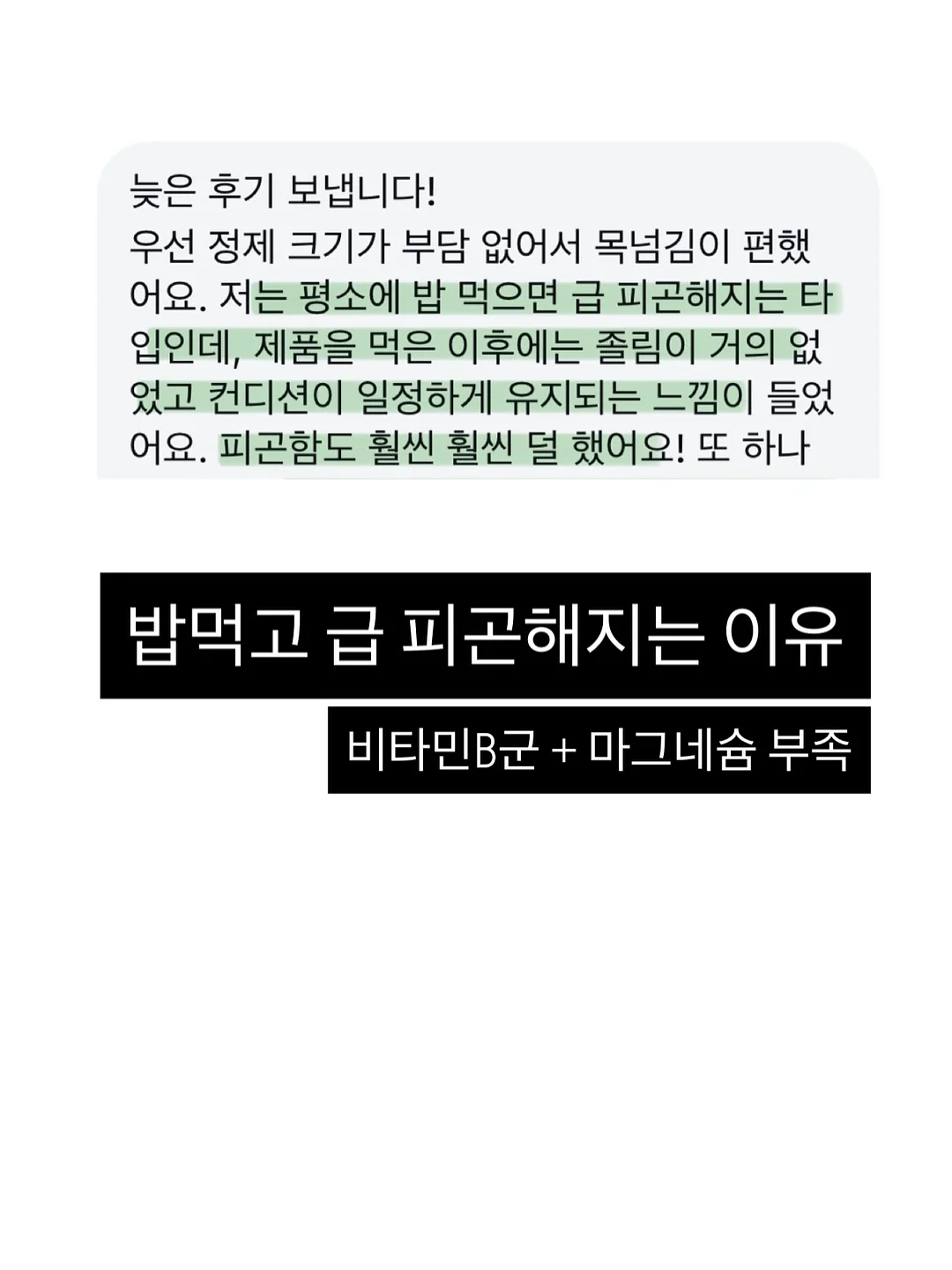 잔털루드베키아 리틀 헨리 8
