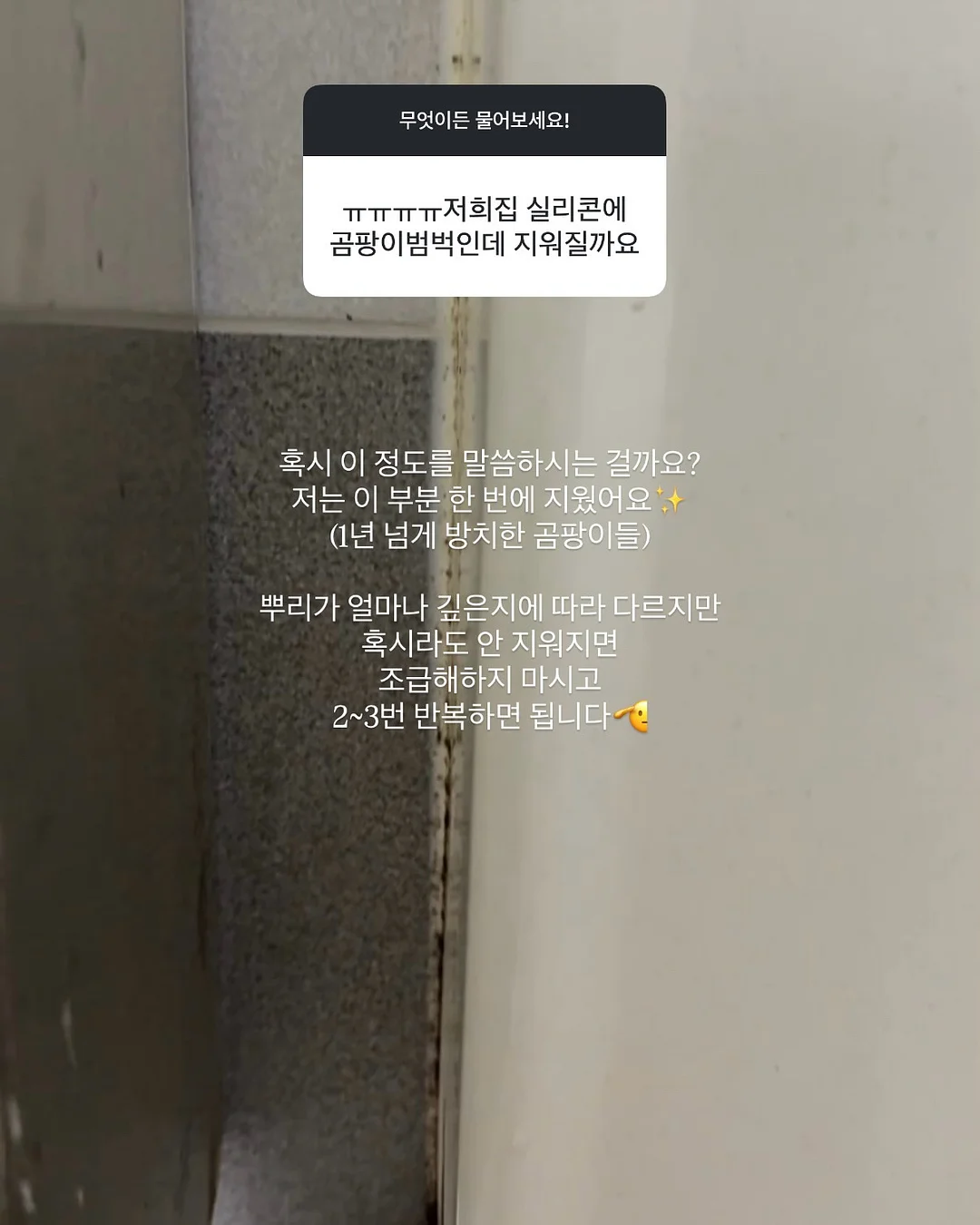 보니토 시그니쳐 세트 14
