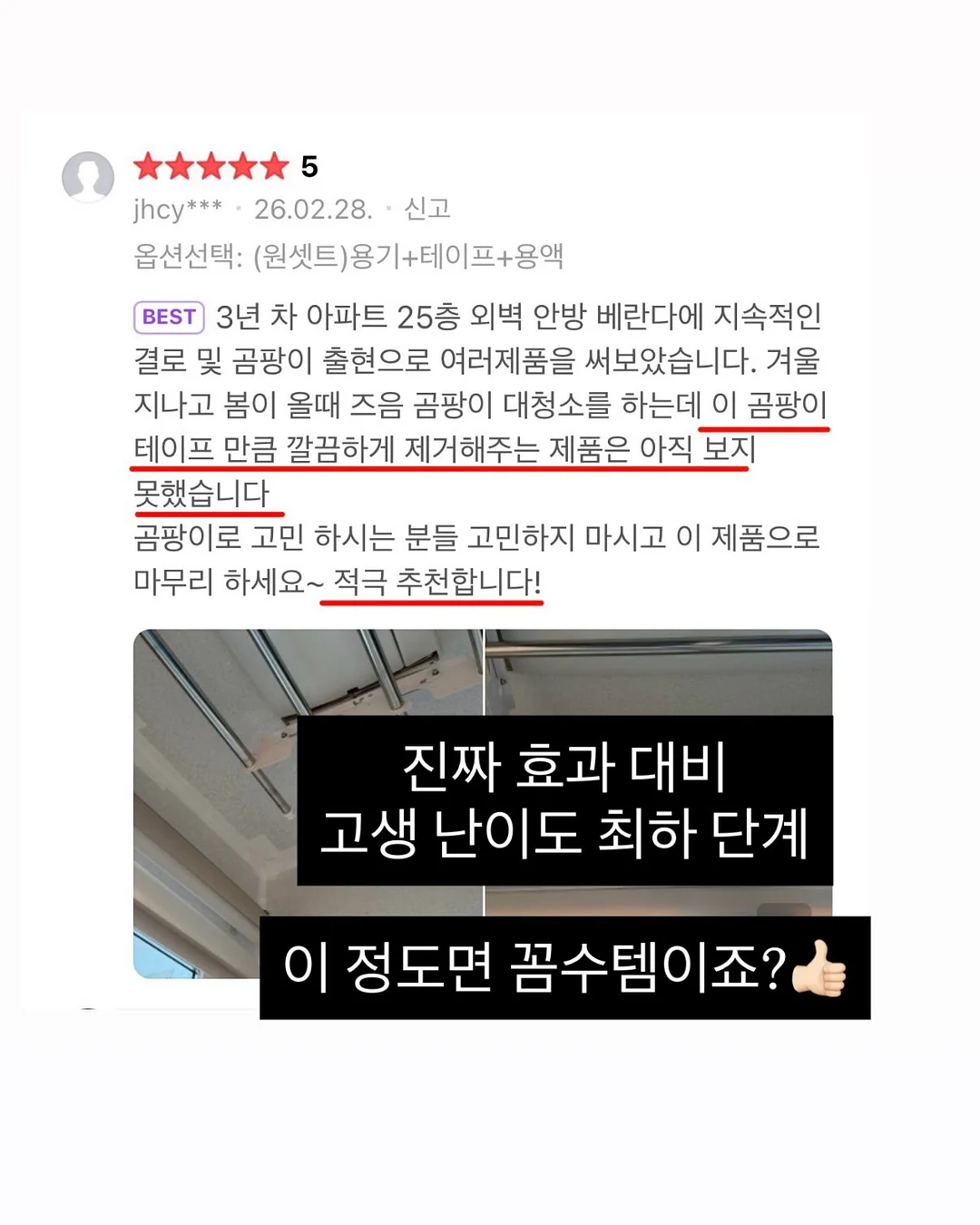 보니토 시그니쳐 세트 18