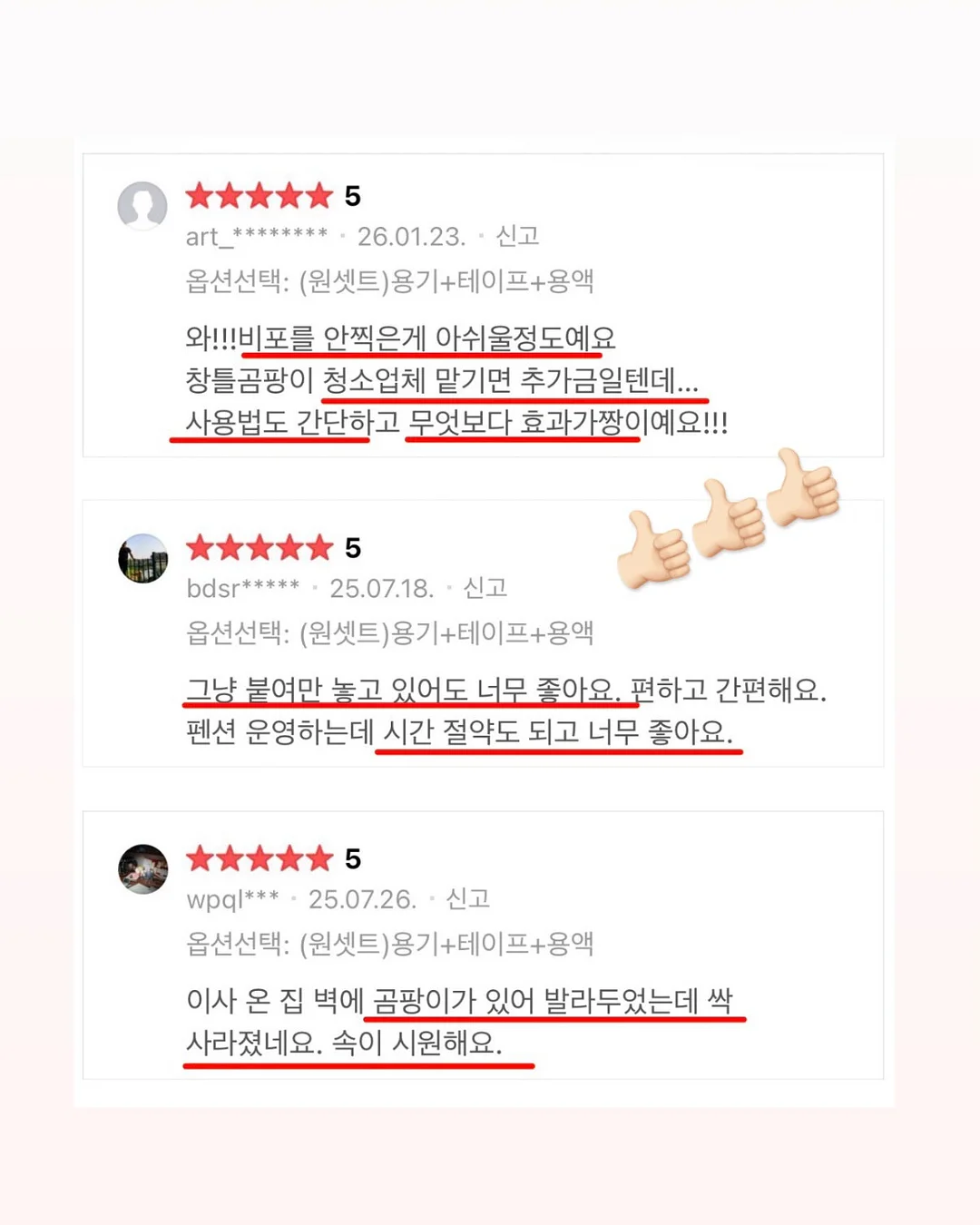 보니토 시그니쳐 세트 20