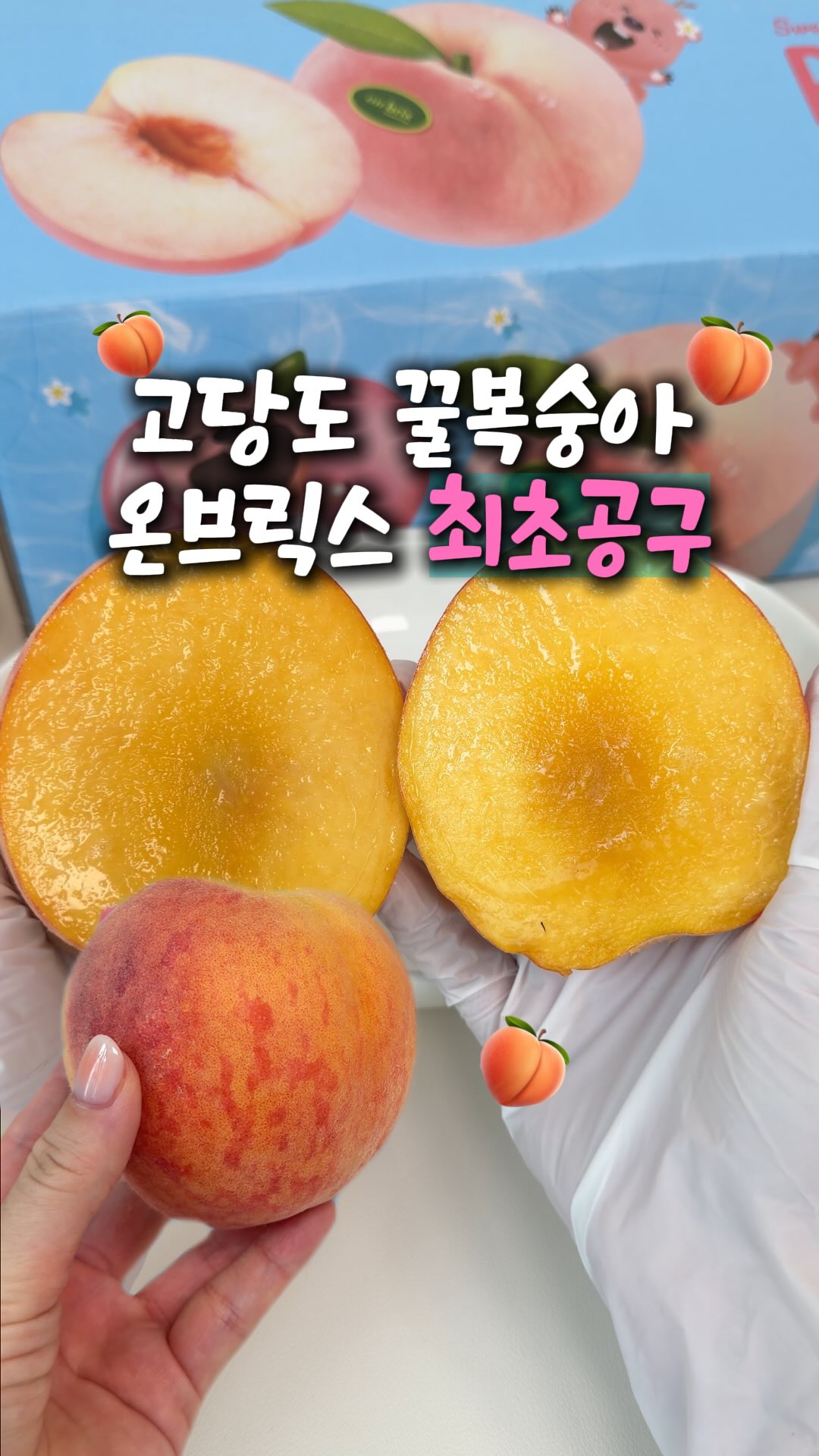 슈틸루스터 에어컨 선풍기 PAF-300