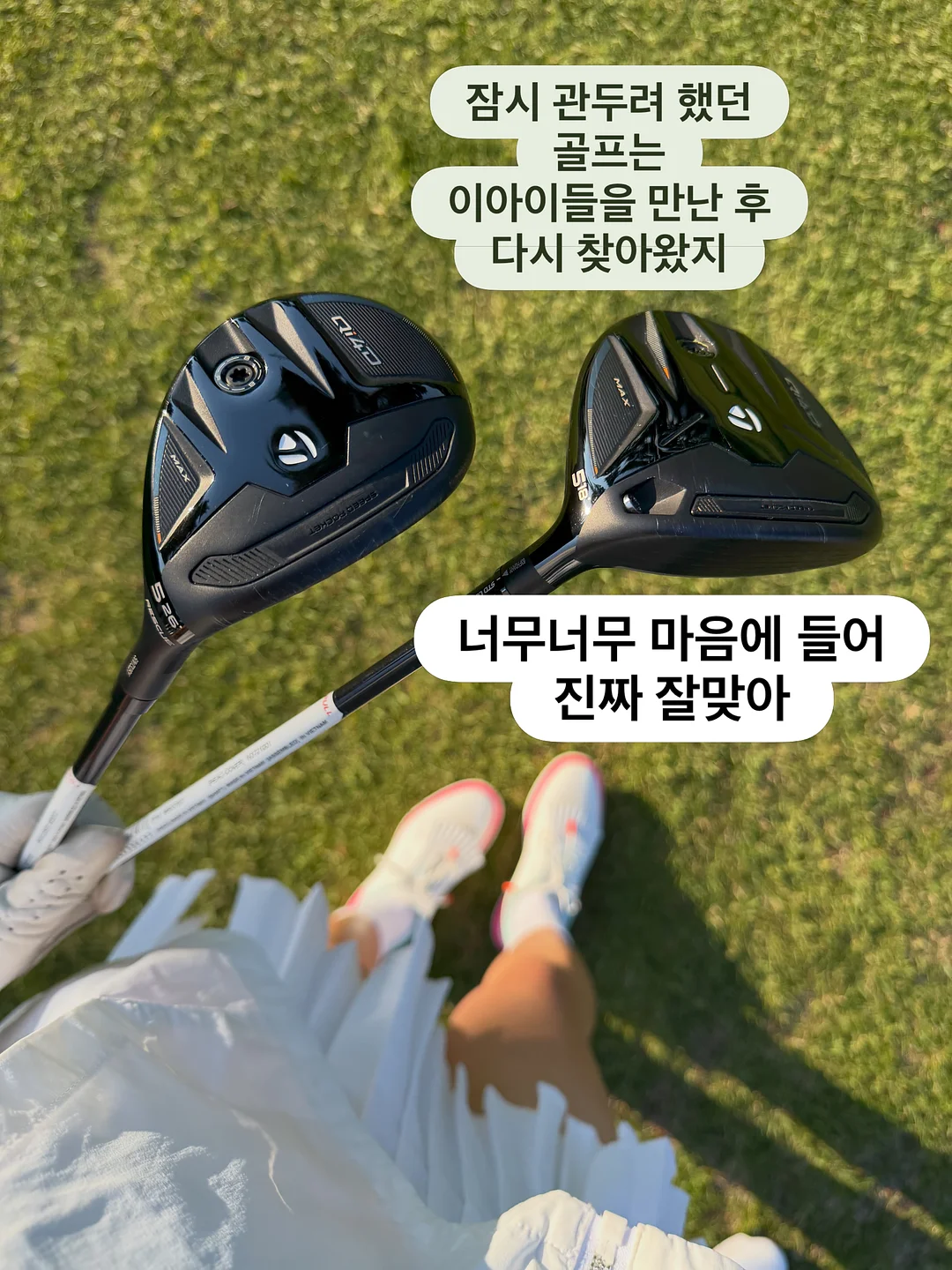 로워드 브릿지 서비스 워드프레스 호스팅 2