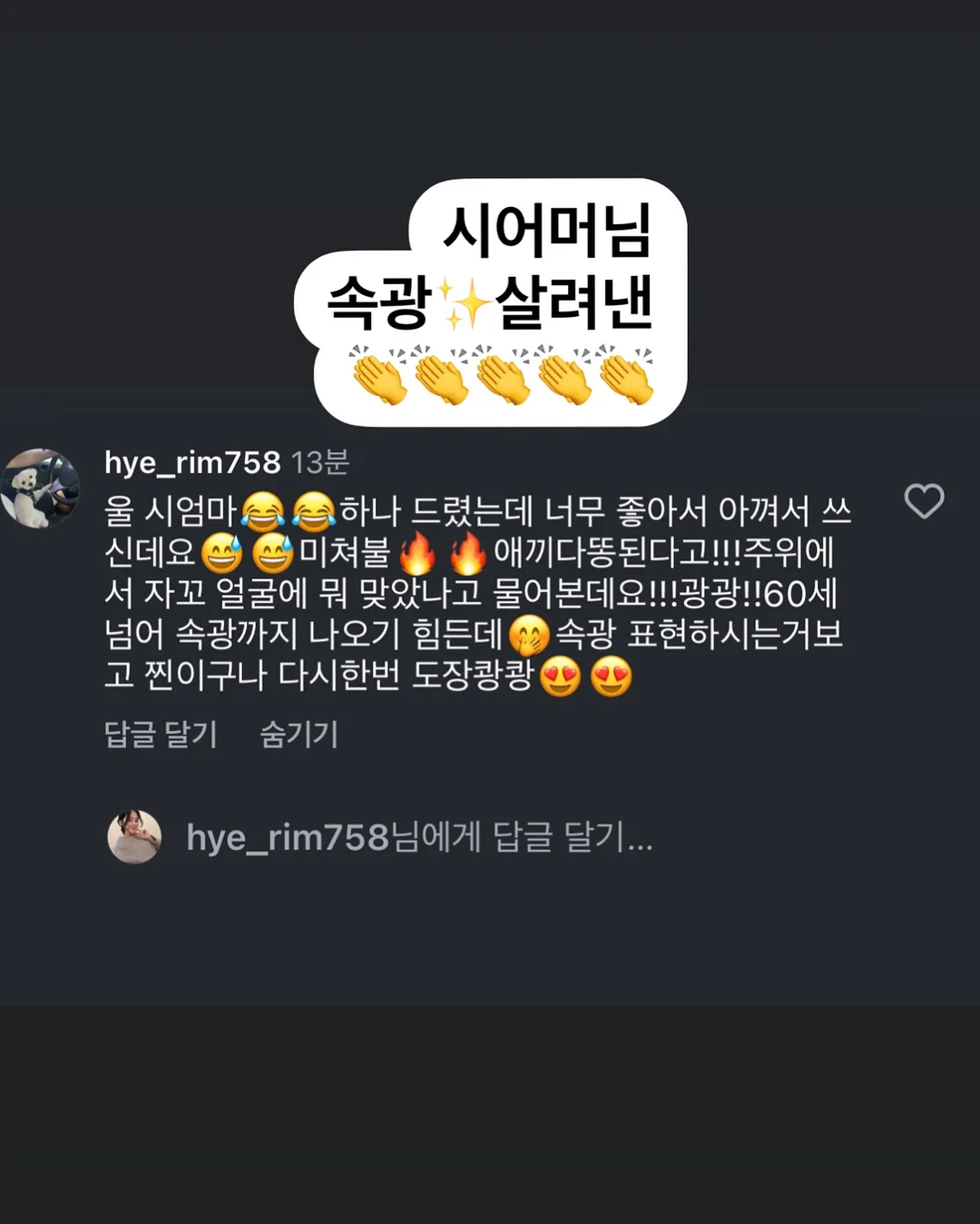 쿨러 백팩 13