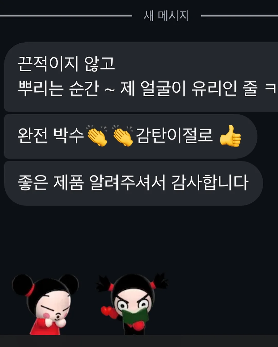 쿨러 백팩 15